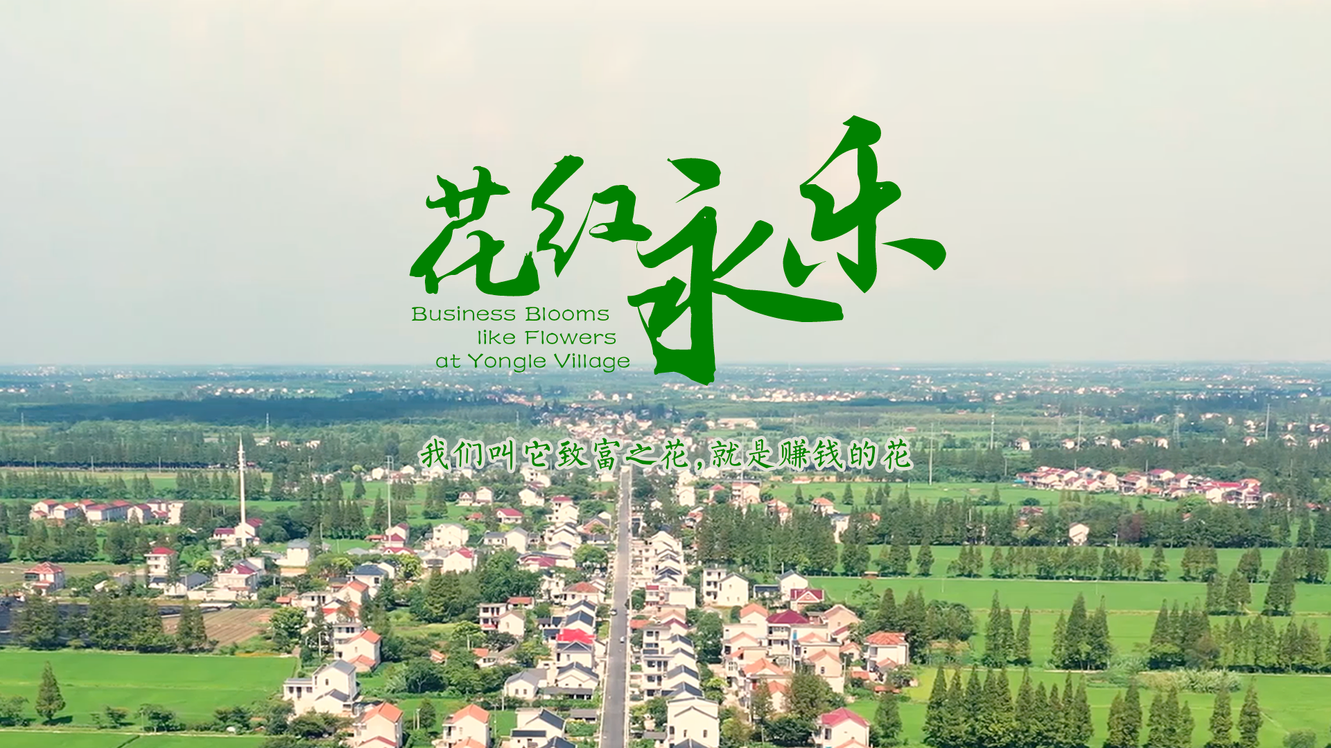 百姓話(huà)思想系列視頻第二季第十五集：《花紅永樂(lè)》