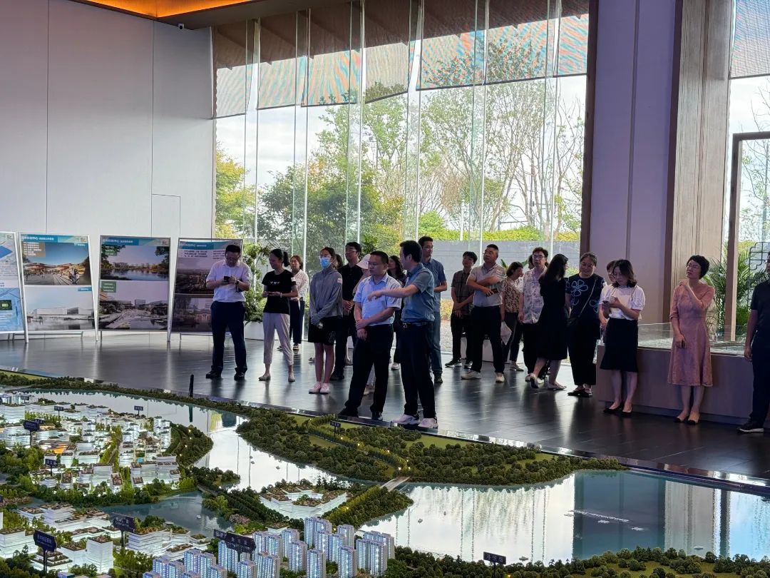 政府開放月活動(dòng)：公眾走近示范區(qū)，感受青浦蓬勃發(fā)展.jpg