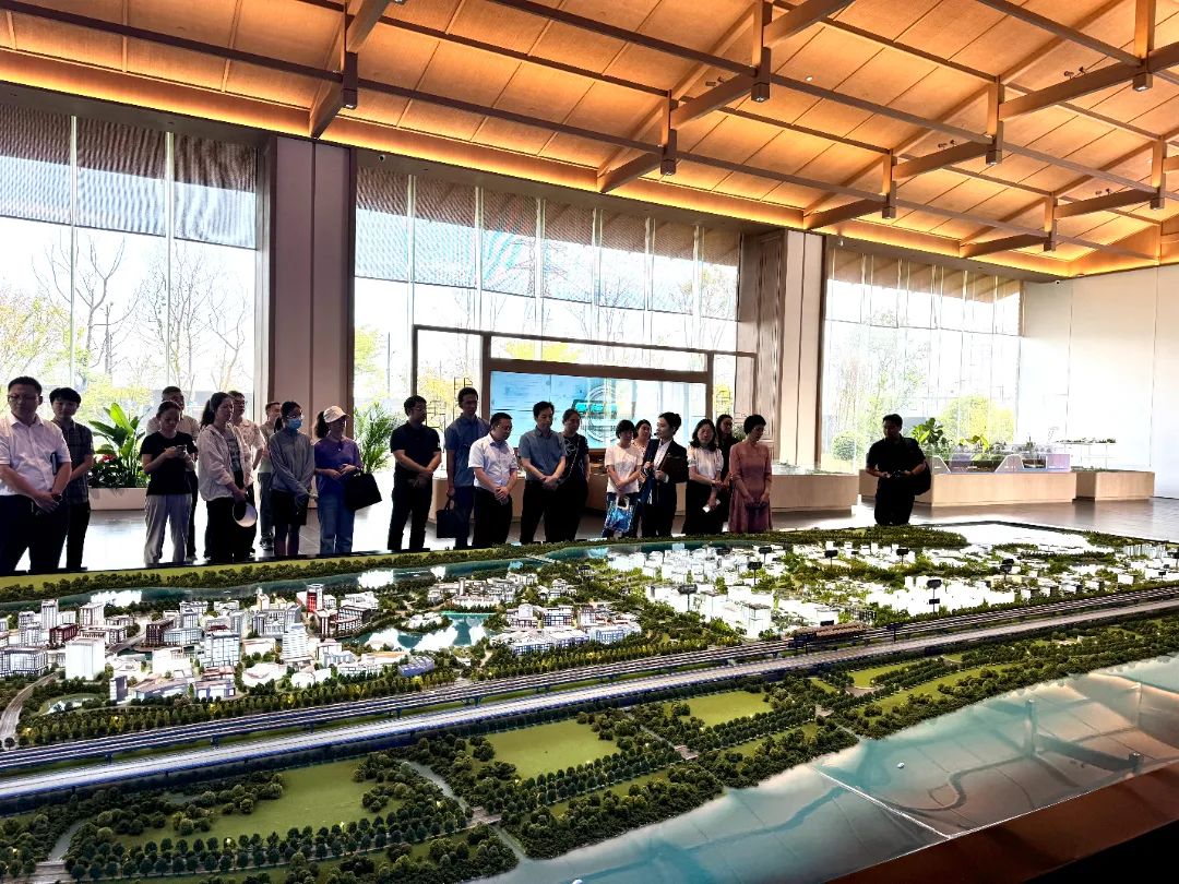 政府開放月活動(dòng)：公眾走近示范區(qū)，感受青浦蓬勃發(fā)展 .jpg