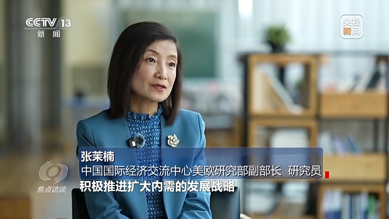 中國國際經(jīng)濟(jì)交流中心美歐研究部副部長、研究員 張茉楠.jpeg