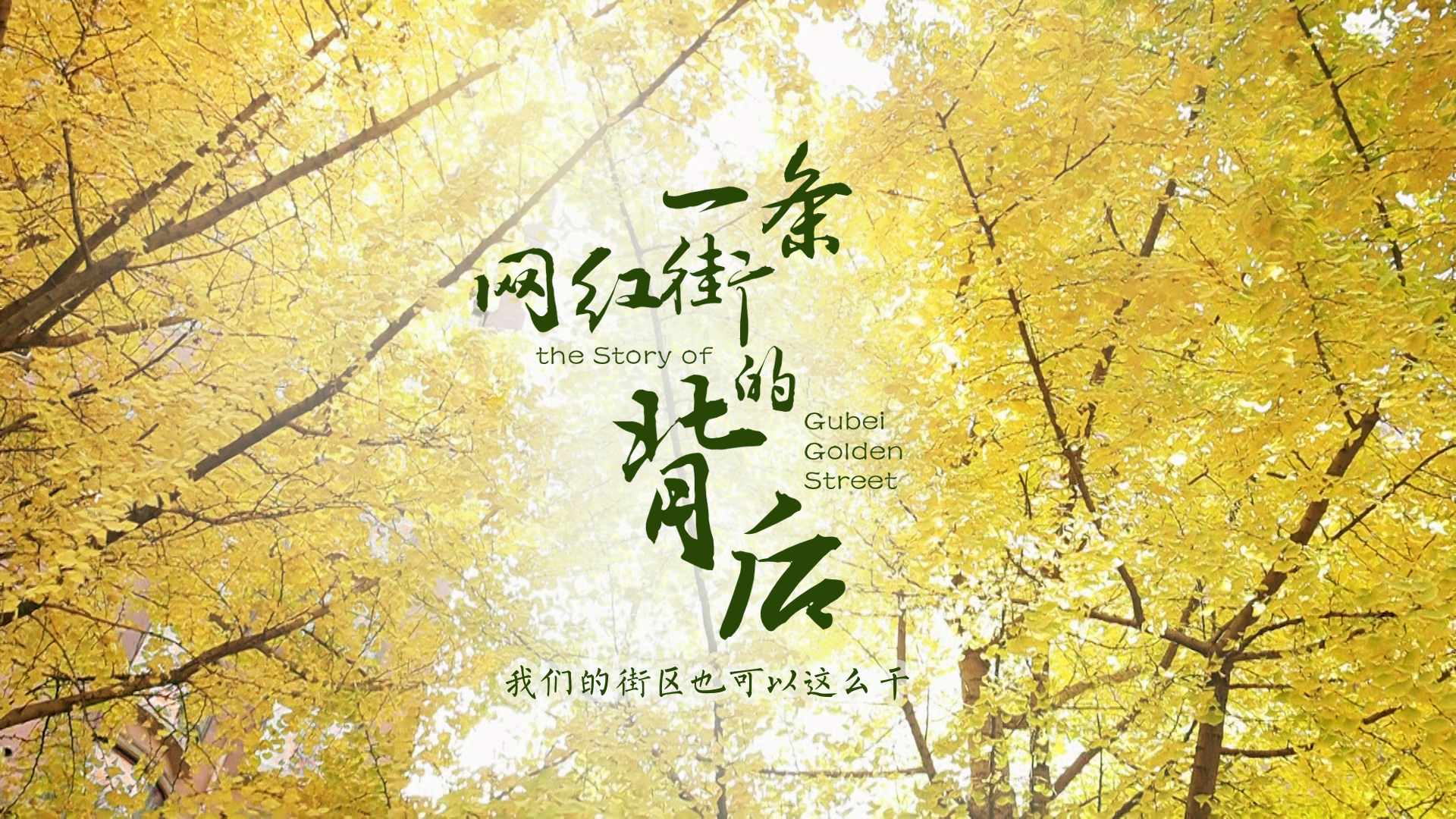 百姓話(huà)思想系列視頻第一季第四集：《一條網(wǎng)紅街的背后》